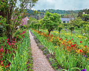 Giverny Garden Photograph by Steven Dos Remedios