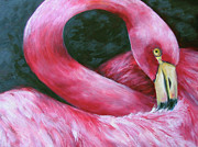 Glance of the Flamingo Painting by Barbara Landry