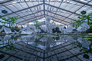 Glass house reflection Photograph by Andrew Lalchan