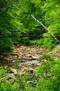Glastenbury Wilderness Bridge with Spring Green 2 Photograph by Raymond Salani III