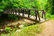 Glastenbury Wilderness Bridge with Spring Green 3 Photograph by Raymond Salani III