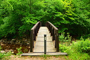 Glastenbury Wilderness Bridge with Spring Green 4 Photograph by Raymond Salani III