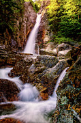 Glen Ellis Falls Photograph by Jeff Sinon