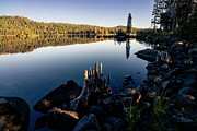 Gold Lake Summer Mornng Photograph by Mike Lee