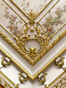 Golden Decoration Photograph by Mary Lee Dereske