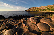 Golden Hour at the Giant's Causeway Photograph by Steven Nelson