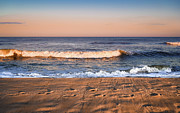 Golden Hour LBI Photograph by Steven Nelson