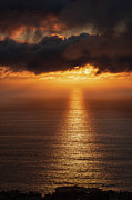 Golden Rays on the Pacific Photograph by Abigail Diane Photography