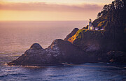 Golden Light on Heceta Head Lighthouse Photograph by Kevin Schwalbe