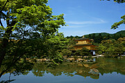 Golden Pavilion Kinkaku-ji Photograph by Travel Essayist