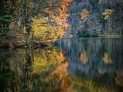 Golden Tranquility at Abbott Lake Photograph by Deb Beausoleil