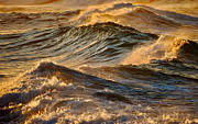 Golden Wave Tops Photograph by Debra Banks