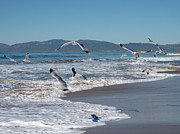 Gone Fishing Photograph by Joe Schofield