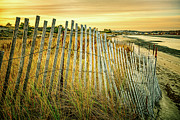 Good Fences 2 Photograph by Jeff Sinon
