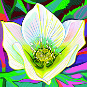 Good Morning Christmas Rose Painting by Rod Whyte
