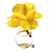 Good Morning Mixed Media by Rafael Salazar