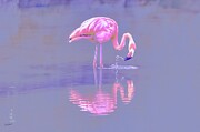Graceful Flamingo in Tranquil Waters Digital Art by Bruce Block