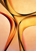 Graceful - Paper Abstract Photograph by Elvira Peretsman