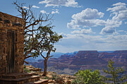 Grand Canyon Eastern Edge Photograph by Rebecca Herranen
