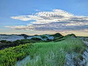 Grassy Winding Dunes Photograph by Annalisa Rivera-Franz