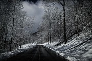 Gray Skies After the Storm Photograph by Deb Beausoleil