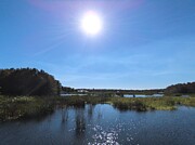 Green Cay Wetlands 3 Photograph by David McKinney