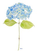 Happy Day Painting by Catherine Bede