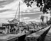 Harbor Activity Shacks Photograph by Charlie Osborn