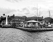 Harbor Master Hale Photograph by Charlie Osborn