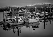 Harbor Reflections Homer Alaska Photograph by Dan Sproul