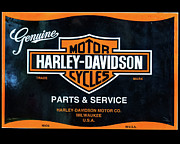 Harley Davidson signs Photograph by Flees Photos