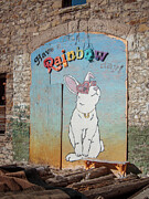 Have A Rainbow Day Photograph by Mary Lee Dereske