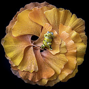 Having The Time Of My Life Photograph by Elvira Peretsman