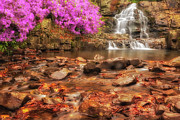 Hawk Falls PA Photograph by Susan Candelario