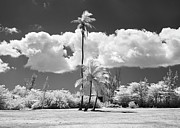 Head In The Clouds Photograph by Gian Smith