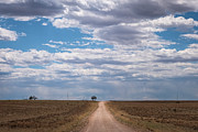Headed West Photograph by Mary Lee Dereske
