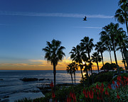 Blue Hour Heisler Park Sunset Laguna Beach Photograph by Abigail Diane Photography