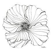 Hibiscus Drawing by Catherine Bede