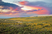High Desert Vibrancy Photograph by Mike Lee