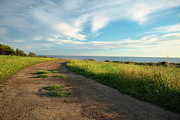 Hiking Trail Overlooking the Ocean Photograph by Matthew DeGrushe