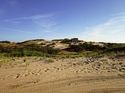 Home on the Dunes Photograph by Annalisa Rivera-Franz