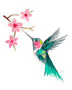 Hummingbird Painting by Catherine Bede