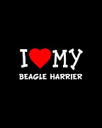 I Love My Beagle Harrier Dog Breed Digital Art by Flippin Sweet Gear