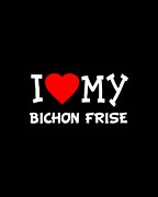 I Love My Bichon Frise Dog Breed Digital Art by Flippin Sweet Gear