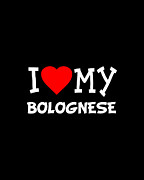 I Love My Bolognese Dog Breed Digital Art by Flippin Sweet Gear