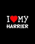 I Love My Harrier Dog Breed Digital Art by Flippin Sweet Gear