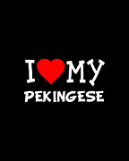 I Love My Pekingese Dog Breed Digital Art by Flippin Sweet Gear