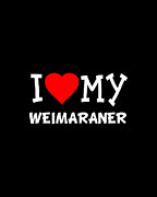 I Love My Weimaraner Dog Breed Digital Art by Flippin Sweet Gear