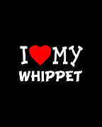I Love My Whippet Dog Breed Digital Art by Flippin Sweet Gear