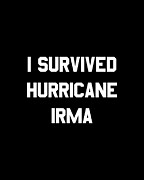 I Survived Hurricane Irma Digital Art by Flippin Sweet Gear